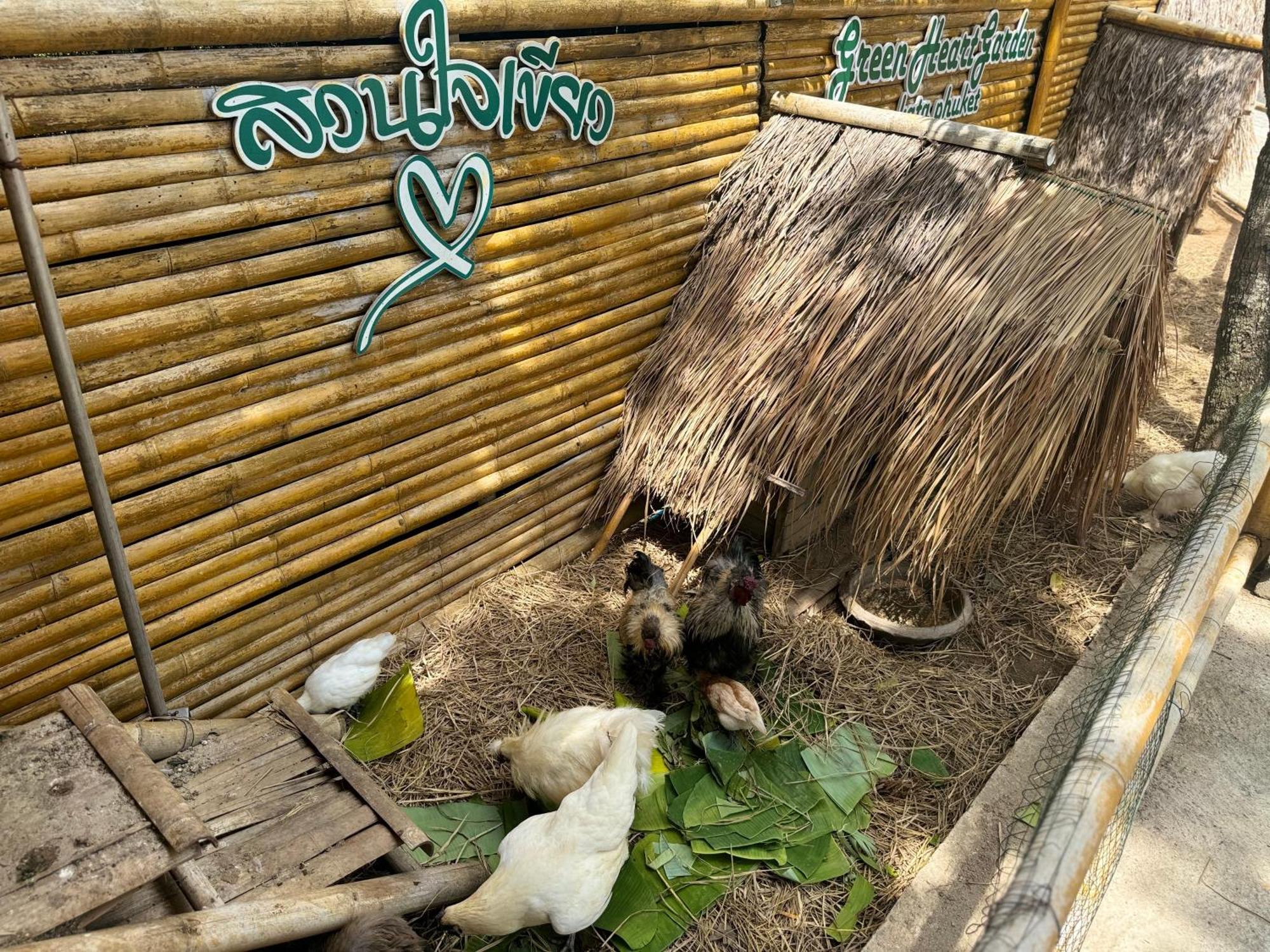 Greenheart Garden View Camp Phuket Praia de Kata Exterior foto